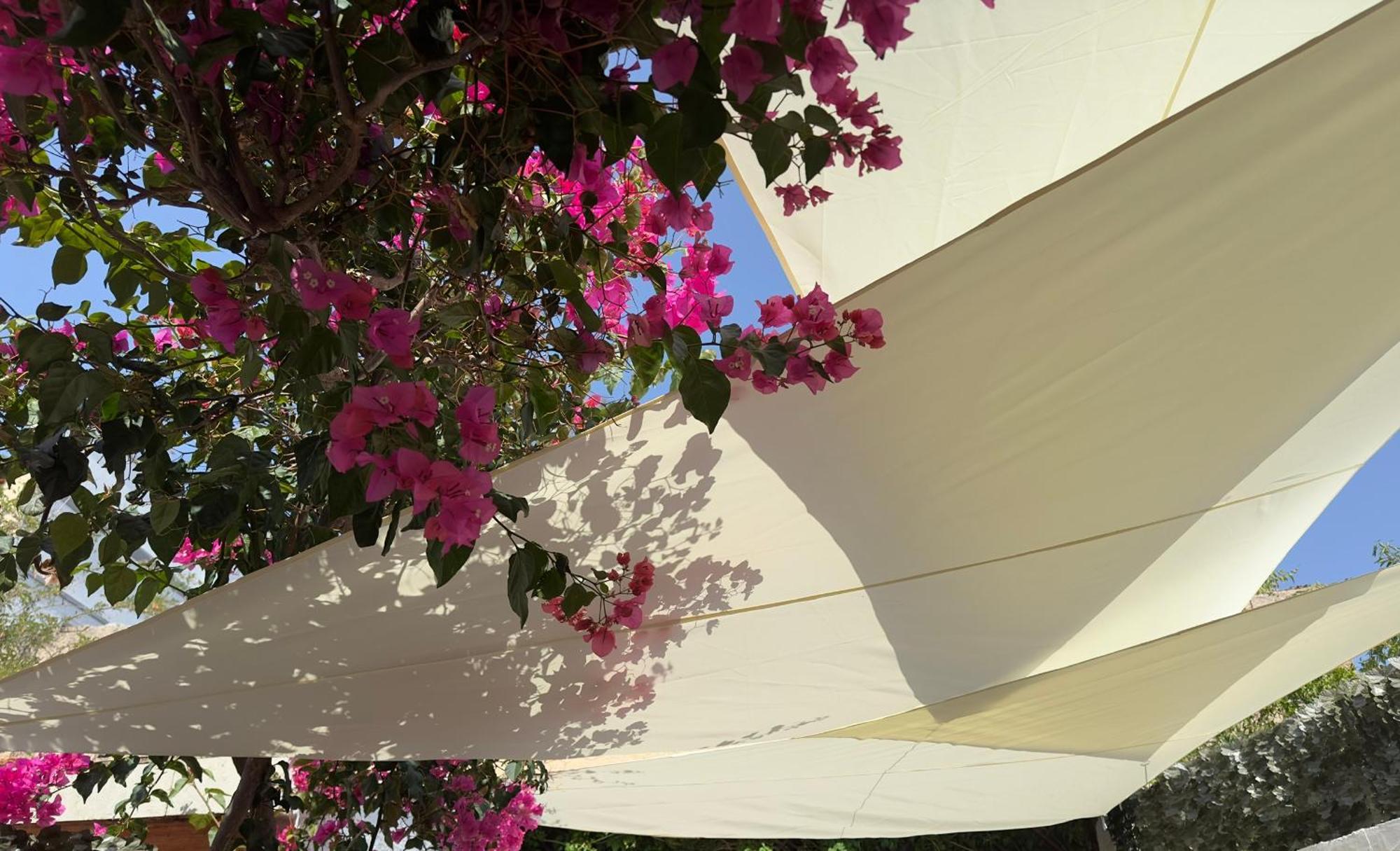 Maria House With Private Garden Olbia Exterior photo